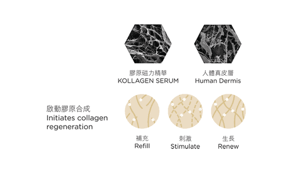 Neoplicity | Kollagen 膠原磁力精華 | 德國製造 | 修復 亮白 補水 提升彈性